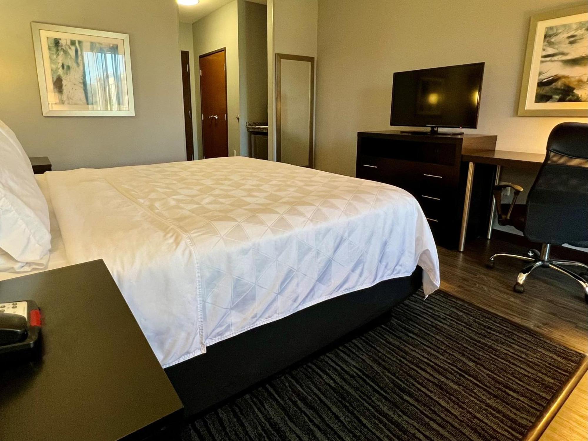 Holiday Inn Carlsbad/San Diego By Ihg Zewnętrze zdjęcie